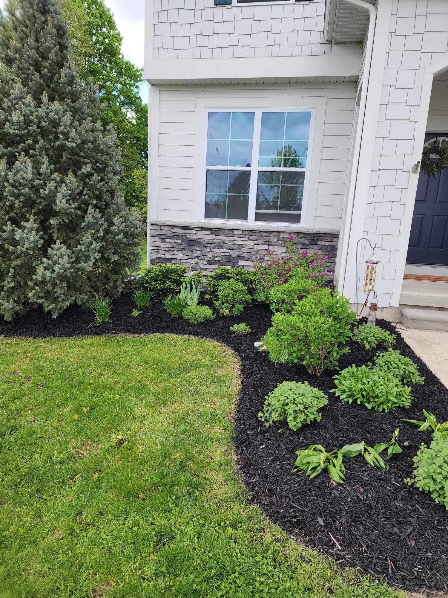 Beautiful landscaping transformation