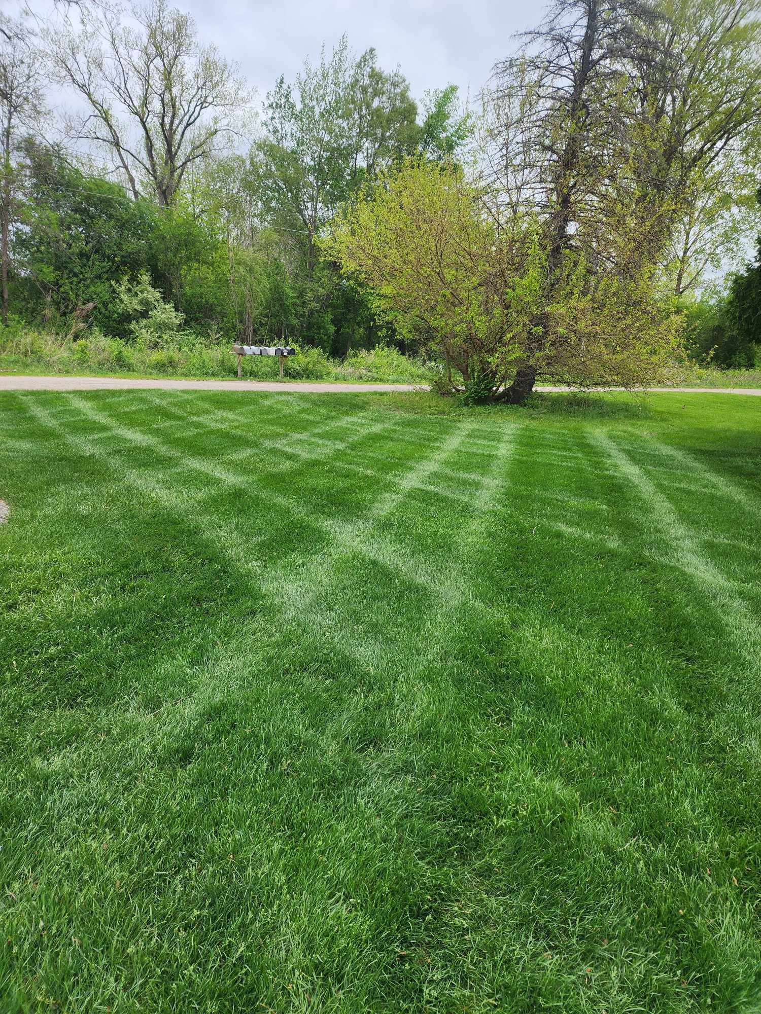 Perfectly manicured lawn